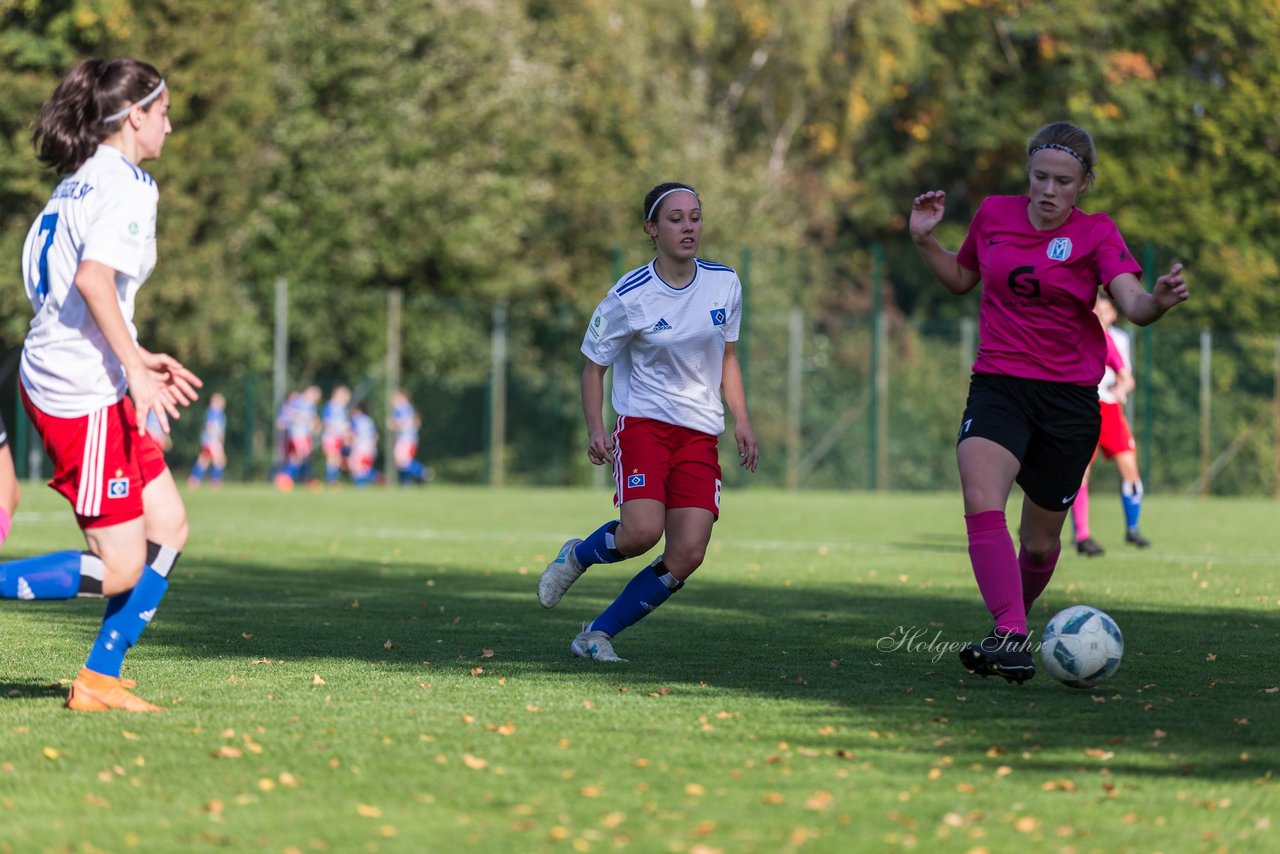 Bild 215 - wBJ HSV - SV Meppen : Ergebnis: 0:2